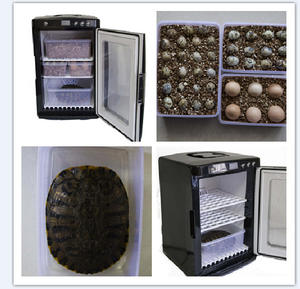 Incubateur professionnel d'oeufs de reptile 25L 5-60 ℃ contrôle numérique capacité de 48 oeufs, refroidissement-chauffage automatique pour serpent, tortue - Product Image 5