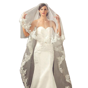 Alla moda semplice velo da sposa con lungo treno pizzo solubile in acqua Cross-Border cattedrale ricamato copricapo matrimonio all'ingrosso - Product Image 1