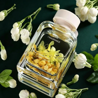 Diffuseur de parfum d'ambiance en verre carré de luxe, diffuseur à bâtonnets longue durée pour la maison, idéal pour la décoration intérieure et les cadeaux