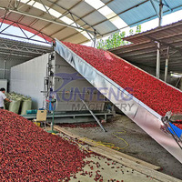 1-30 Ton Aangepaste Chili Droger Cayennepeper Paprika Groene En Rode Chili Drogen Productielijn