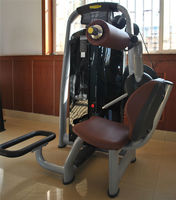 Machine d'extension lombaire à charges réglables en acier pour salle de sport, équipement universel de fitness