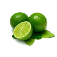 Approvisionnement en gros de citrons verts 100 % naturels, peau verte, 100 kg MOQ, durée de conservation de 4 à 5 semaines, fournisseur vietnamien garantissant la qualité et la fraîcheur