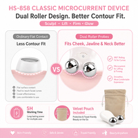 Masseur facial à micro-courant 5 niveaux, double rouleau pour le visage et le cou, appareil de beauté rechargeable Type C pour usage domestique OEM ODM