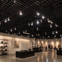 Panneaux de plafond en grille d'aluminium, système de plafond suspendu à cellules ouvertes, moderne, ignifuge, à grain de bois, modulaire pour hôtel, salle de sport
