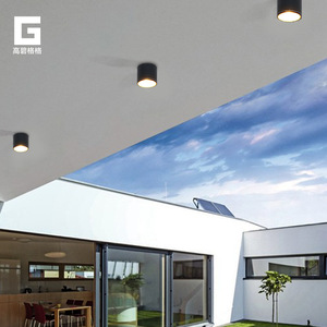 ไฟดาวน์ไลท์ LED ทรงกลมติดเพดานแบบกันน้ำสำหรับวิลล่า ลานบ้าน ระเบียง และทางเดิน - Product Image 5