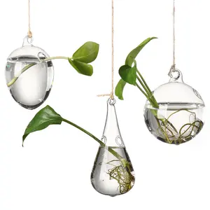 Bán buôn trang trí nội thất sáng tạo các loại khác nhau rõ ràng treo Glass Glass Vase Terrarium container nhà máy nồi