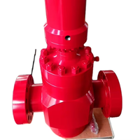 Vanne à opercule hydraulique API 6A 2-9/16" 5000 psi pour arbre de Noël, tête de puits, collecteur