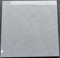 Carreaux de porcelaine durables résistants aux rayures pour les zones à fort trafic Carreaux d'intérieur modernes pour les centres commerciaux Villas Antidérapants