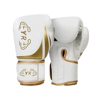 Nouvel ensemble de gants de boxe JIAHONG personnalisés avec logo, en PU imperméable, extensible, protection UV, antidérapant, unisexe, pour l'extérieur