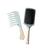 Ensemble de brosses à cheveux à coussin d'air couleur macaron A257, antistatiques, démêlantes, brosses à cheveux massantes pour femmes, soins quotidiens des cheveux