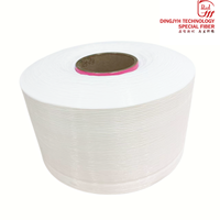 Fil mère en nylon 6 semi-mat (SD) pour la fabrication de monofilaments fendus 180D-500D, fil fendu en polyamide 6 pour tissu mat