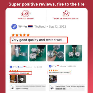 <span class=keywords><strong>LPG</strong></span> CNG amonyak gaz kontrolü kaynak kesme için yüksek hassasiyetli basınç göstergesi ile endüstriyel CO2 Argon azot gazı regülatörü - Product Image 5