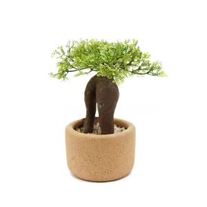 CR pequeño bonsái verde claro plantas artificiales de plástico en maceta de cerámica bonsái decorativo árbol Baobab