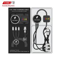 Câble de charge rapide tressé 5-en-1 avec logo LED lumineux personnalisé pour cadeaux promotionnels d'entreprise d'assurance