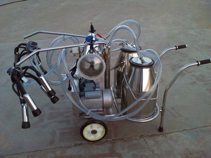 Machine à traire sous vide la plus durable, entièrement automatique, pour grandes exploitations laitières, équipement de collecte du lait - Product Image 6