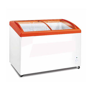 零售商店品牌商用双开滑动门制冷卧室橱柜食品储存冰柜