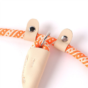 Set Tali & Kalung Anjing Tahan Lama Berwarna-warni, Tali Pengikat Hewan Peliharaan untuk Latihan Jalan-jalan di Luar Ruangan - Product Image 5