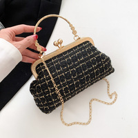 Sac de soirée tendance pour femmes Sacoches Jeune dame Dîner Sacs à main Ladies Party Handbags For Women Luxury Clutch
