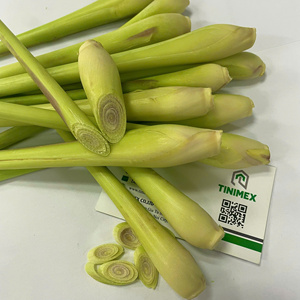Tinimex, Calidad Premium, 100% Pura, Hierba Limón Congelada Fresca de Vietnam, 2-3 Meses de Vida Útil, Buen Precio para Exportación al por Mayor 2026 - Product Image 4