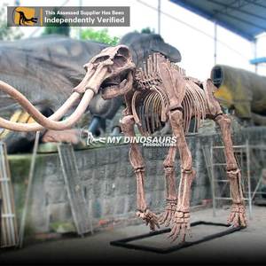 Mon Dino A547 Glaciaire Animal Grandeur Mammouth Fossiles pour Musée - Product Image 6
