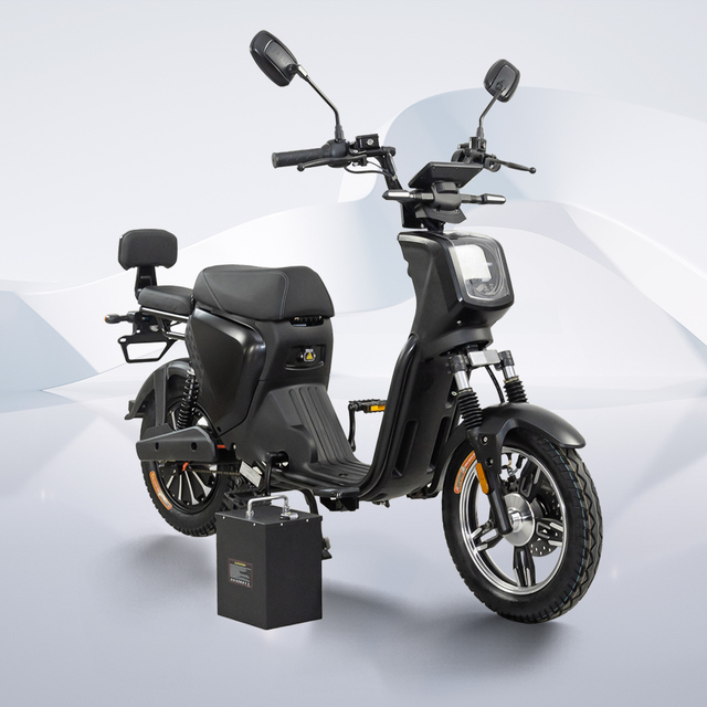 2023 Goldenlion Two Wheels Electric Scooter/scooter Electric Adult/smart Electric Scooter with Seat