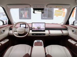 Oferta Especial: <span class=keywords><strong>Nano</strong></span> 01 2026 Edición Ultra 330KM, Hermoso Vehículo Eléctrico de Nueva Energía, Asequible y de Alto Valor, Ideal para Desplazamientos Urbanos - Product Image 6