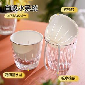 Transparent <b>Plastic</b> Flower Pots Desktop Self Watering Hydroponic <b>Planters</b> Minimalist Design For Indoor Greenery - Product Image 5