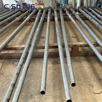 Poste de Luz Solar para Exteriores de Acero Galvanizado de 8 m de Cishine, Personalizado de Fábrica, con Posición de Orificio Personalizada y Brazo