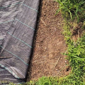Malla Antihierbas para Jardín, Tela de Cobertura para el Suelo, para Jardineros Caseros - Product Image 6