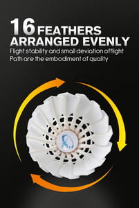 JunXin <strong>Badminton</strong> Supplier Class a Goose Feather Shuttlecock for <strong>Badminton</strong> Professional Player <strong>Yonex</strong> Level Alternative - Product Image 4
