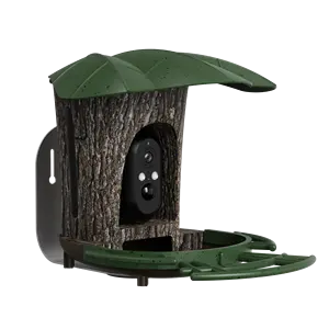 Smart Bird Feeder Solar Powered Identify Bird Species Auto Capture Videos Smart Bird Feeder With Camera