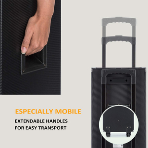 Cqa <span class=keywords><strong>Disco</strong></span> Hộp Gỗ Âm Thanh PA Hệ Thống Chuyên Nghiệp 10 "Loa Woofer 60W Với <span class=keywords><strong>Disco</strong></span> Bóng Đèn Loa - Product Image 3