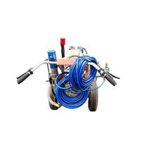 Machine de marquage routier à poussée manuelle LT-CMDG, moteur 6,5 CV durable et peinture 12 L, peinture à froid, double pistolet, moteur 6,5 CV, débit 12 L