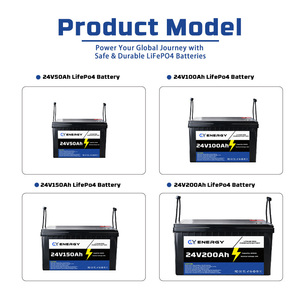 <span class=keywords><strong>2026</strong></span> CY 25.6V 100Ah LiFePO4 딥 사이클 에너지 저장 배터리 팩 BMS IP65 6000 사이클 - Product Image 6