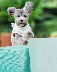 Tapis absorbant pour chien, tapis d'apprentissage pour chiot et animal de compagnie - Product Image 4