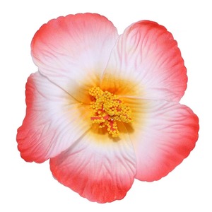 EVA Hibiscus โฟมฮาวายชายหาดดอกไม้งานแต่งงานชุดพรหมรีสอร์ท - Product Image 5