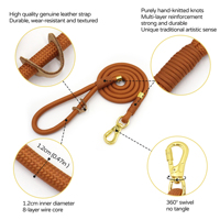 Ensemble collier et laisse pour chien style festival, motif imprimé, laisse en corde avec sac à déjections, collier pour chien gravé sur mesure, fournitures pour animaux de compagnie en gros