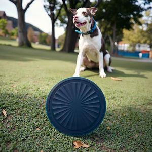 Rastreador inalámbrico global para mascotas, buscador de etiquetas inteligentes antipérdida portátil para perros, gatos y accesorios de viaje - Product Image 1