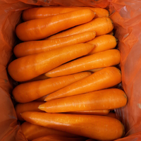 Carottes fraîches nouvelle récolte 4,5 KG Emballage en carton Petite taille Exportation mondiale Prix bas Haute qualité Carottes fraîches