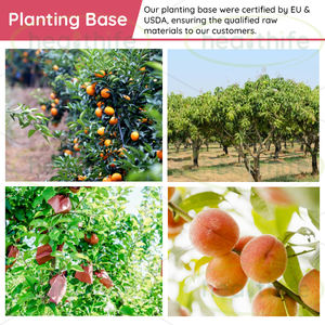 Bubuk jus Blueberry kering beku 80Mesh stok gudang USA - Product Image 6