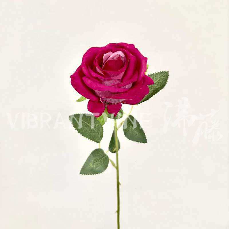 ดอกกุหลาบกำมะหยี่สีแดงดอกกุหลาบขนาดเล็ก