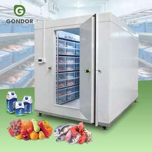 Cámara Frigorífica Móvil Comercial Portátil, Mini Refrigerador, Congelador, Sistema de Refrigeración, Cámara Frigorífica de Vidrio - Product Image 1