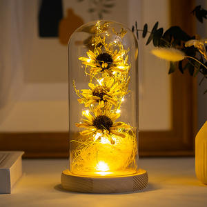 Luz Nocturna LED con Cubierta de Cristal de Flor Eterna, Girasol, Flor de Sésamo, Regalo de Navidad, San Valentín, Venta al por Mayor de Fábrica - Product Image 1