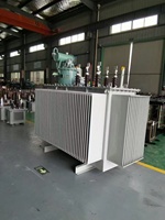 Transformateur triphasé immergé dans l'huile de 300 kVA, 13,8 kV à 380 V, transformateur électrique haute tension, prix