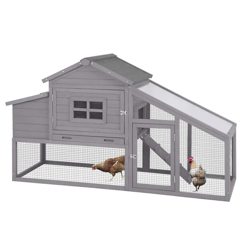 Kandang Ayam Mudah Dirakit, Kandang Ayam Ramah Lingkungan Luar Ruangan Besar dengan Lari Luar Ruangan