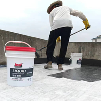 Revêtement de bobine liquide couche de finition polymère bitume modifié peinture d'étanchéité revêtement de toit étanche pour réparer les fuites