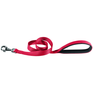 Guinzaglio di Lusso per Cani Daytona G 20 mm X 120 cm Blu Collare in Nylon Solido per Passeggiate Impermeabile per Cani - Product Image 1