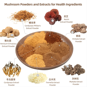 Ekstrak Jamur Reishi/ <span class=keywords><strong>Cordyceps</strong></span> Militaris/singa campuran jamur - Product Image 2