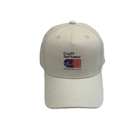 Gorras de Béisbol Personalizadas de 5 Paneles, Venta Caliente de Fábrica, Gorras de Béisbol 100% Algodón, Gorras Personalizadas con Etiqueta Tejida, Gorra de 5 Paneles