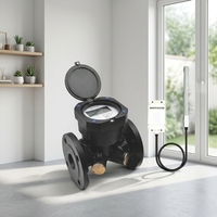 Compteur d'eau industriel intelligent NB-IoT 4G IoT à ultrasons pour tuyaux en acier au carbone, mesure bicanal, DN50-DN150